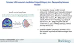 Focused Ultrasound–mediated Liquid Biopsy in a Tauopathy Mouse Model